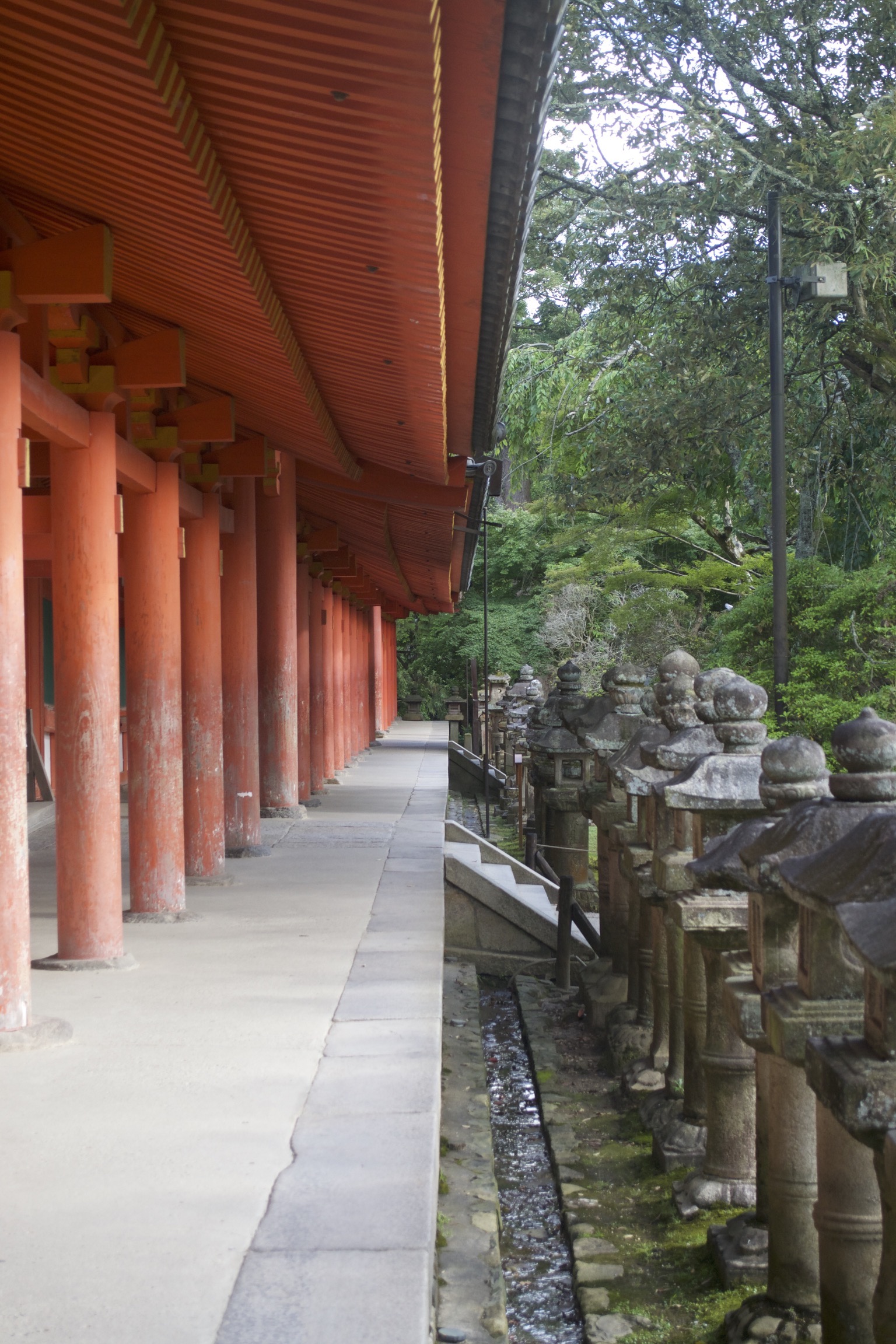 In the left half of the photograph, red wooden columns support a red roof.  In the right half stand a row of small shrines and trees.