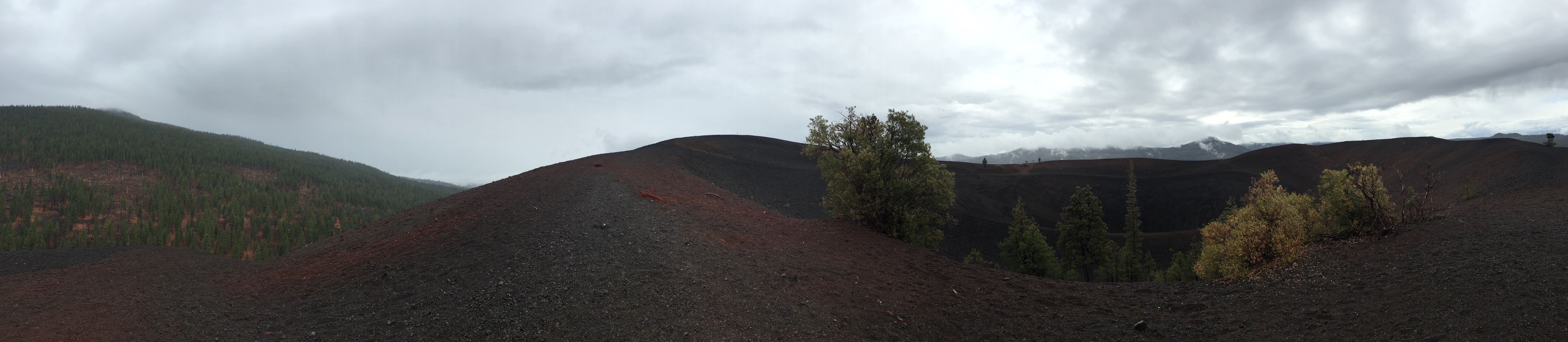 A panorama from the top of Cinder Cone