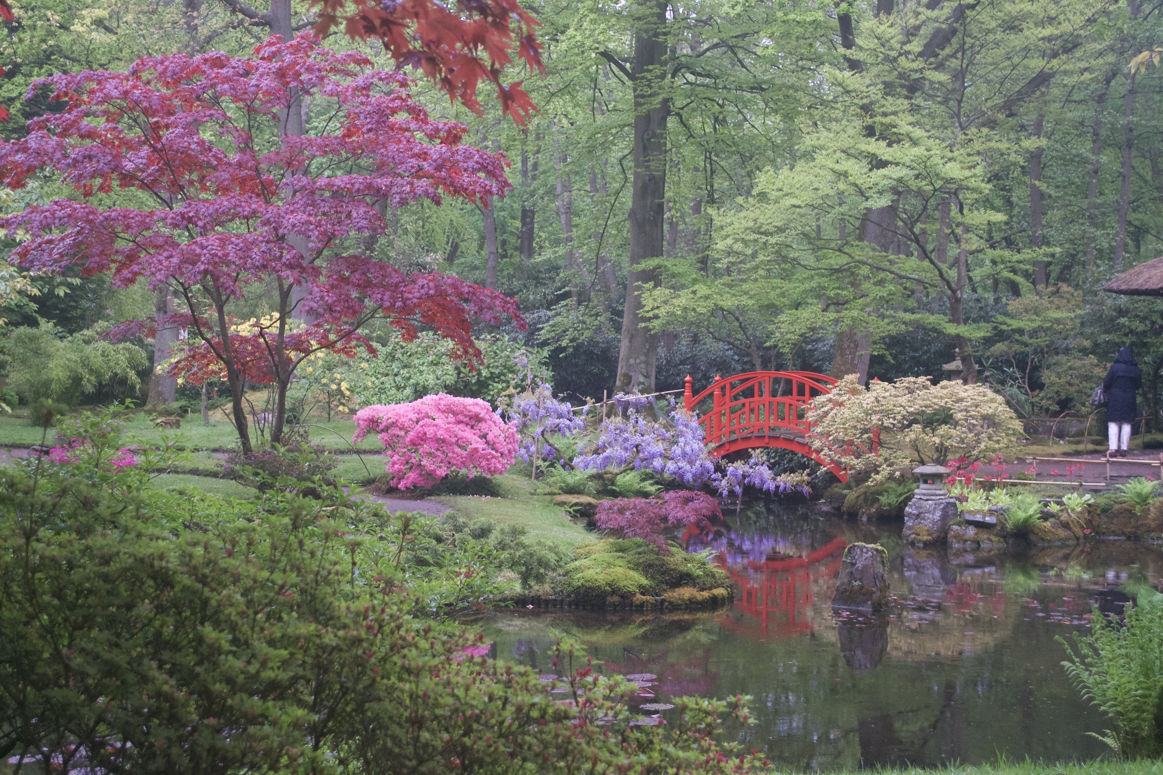 A blooming Japanese garden, with brightly colored plants surrounding a still pond.  A red arched bridge spans a narrow inlet in the background.