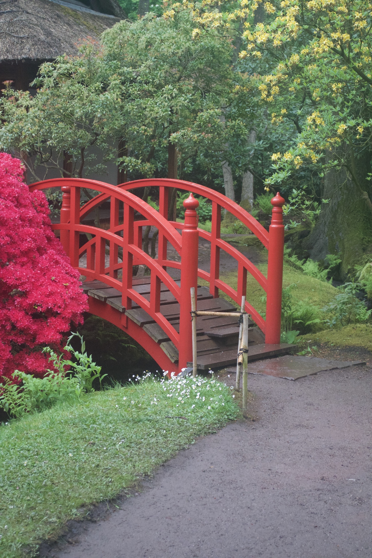 A red arched bridge starts on one side of an inlet but the other side is hidden by a bright pink bush.